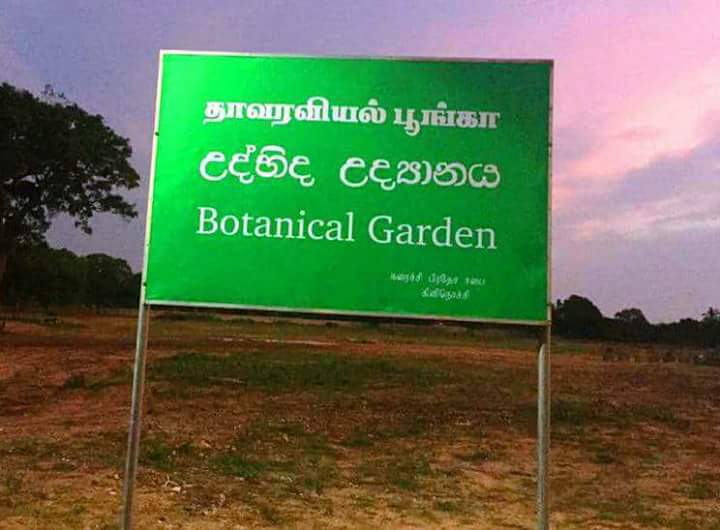 தாவரவியல் பூங்காவாக மாவீரர் துயிலுமில்லம்.