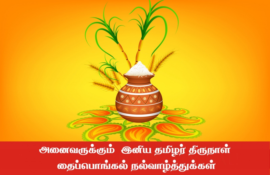 யாழ்ப்பாணவலயம்.கொம் வாசகர்களுக்கு தமிழர் திருநாள் தைப்பொங்கல் நல்வாழ்த்துக்கள்