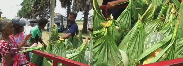 யாழில் ஆரம்பமானது வெள்ளரிப்பழ வியாபாரம்!