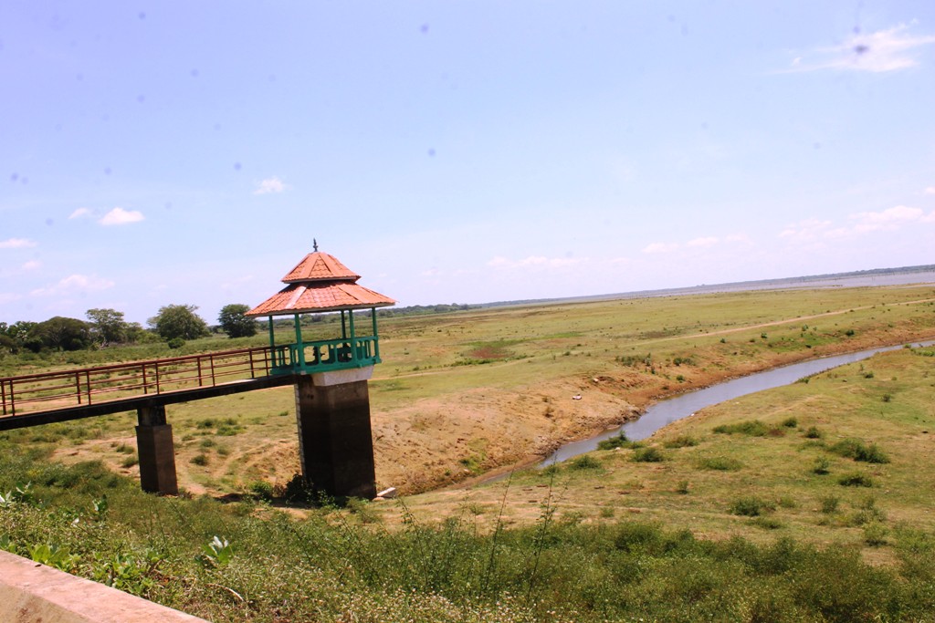 பாலியாற்றின் கரையோரப்பகுதிகளை பாதுகாப்பதற்கு நடவடிக்கை.
