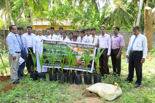 யாழில் பாடசாலைகளுக்கு மரக்கன்றுகள் ஆளுநரால் வழங்கி வைப்பு