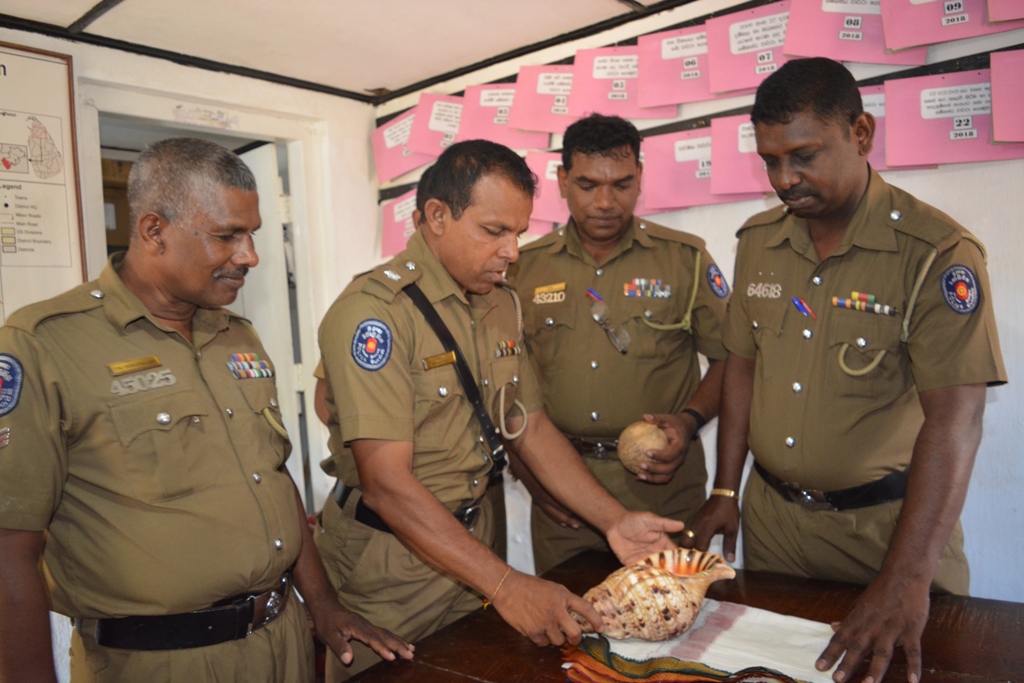 வவுனியாவில் அரியவகை வலம்புரி சங்குடன் இரு இளைஞர்கள் கைது!