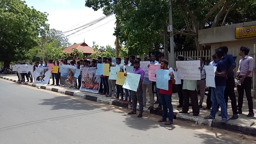 தமிழகம்- தூத்துக்குடி மக்களுக்கு ஆதரவாக யாழ்.பல்கலைகழக மாணவர்கள் போராட்டம்...