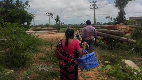 யாழில் பூனையால் ஏற்பட்ட களேபரம்!! பூனையை வலைவீசி தேடி வருகின்றனர்