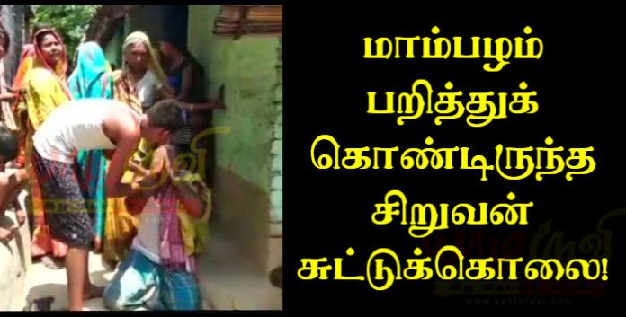 மாம்பழம் பறித்துக் கொண்டிருந்த சிறுவன் சுட்டுக்கொலை!-