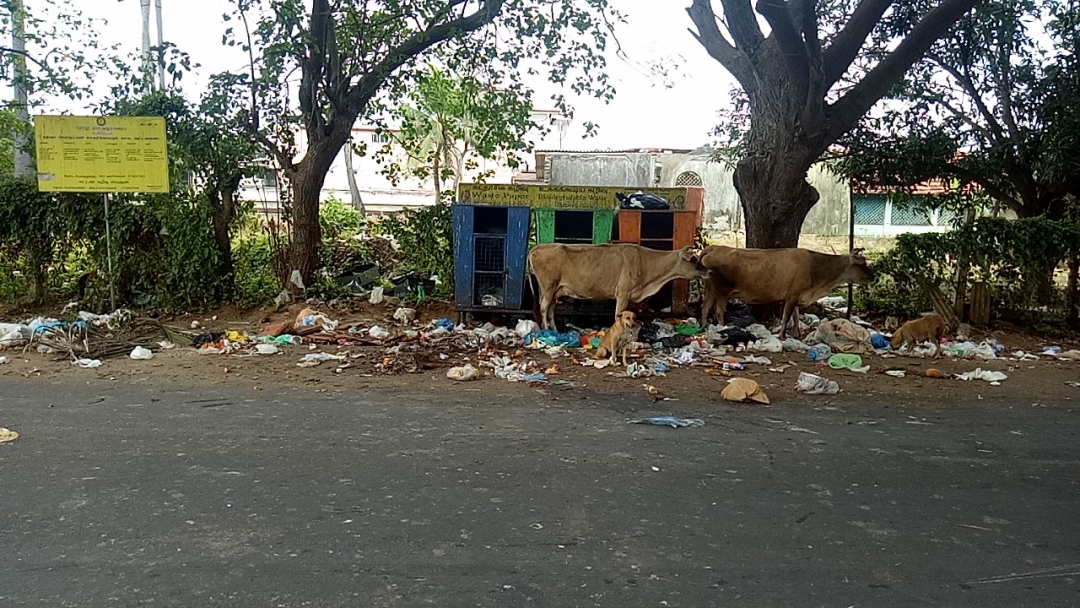 கழிவுகளால் நிறையும் யாழ்.நகரம், பொறுப்பாளிகள் யார்..?