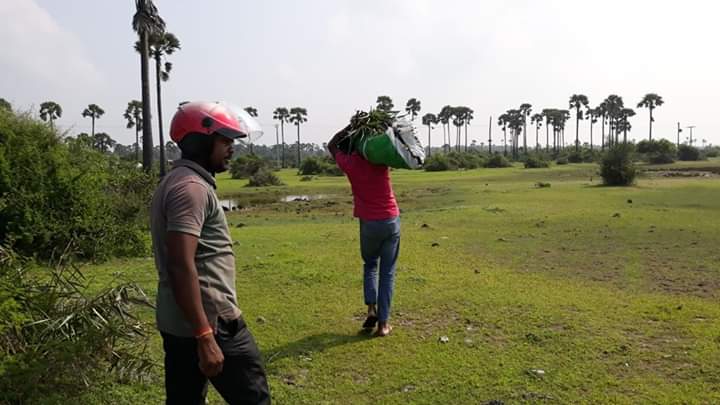 கற்றாளை பிடுங்கியவர்கள் எச்சரித்து அனுப்பப்பட்டனர்-பொன்னாலையில் சம்பவம்..