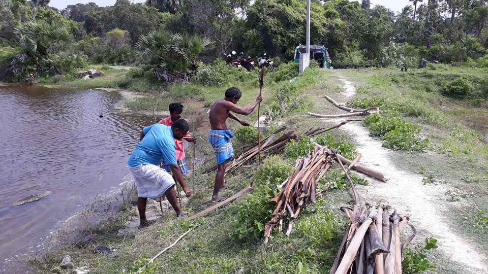 காரைநகர் - சாம்பலோடையில் இயற்கை வனமாக்கல் திட்டம் -மரக்கன்றுகள் நடுகை செய்யும் பணி ஆரம்பம்-