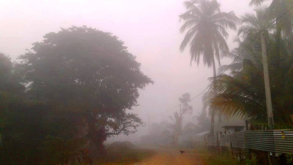 வடக்கை வாட்டும் கடும்பனி, காலை 7 மணியை தாண்டியே சூாிய உதயத்தை காணும் மக்கள்..