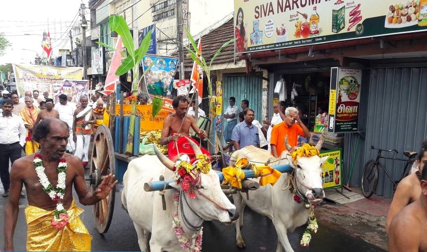 யாழ்ப்பாணத்தில் வெகு சிறப்பாக இடம்பெற்ற பட்டி பொங்கல்..