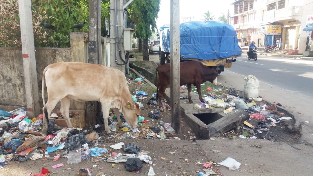 பொது இடத்தில் கழிவுகளை வீசுவோா் மீது நடவடிக்கை தீவிரம், குடாநாடு இனிமேலாவது சுத்தமாகுமா?