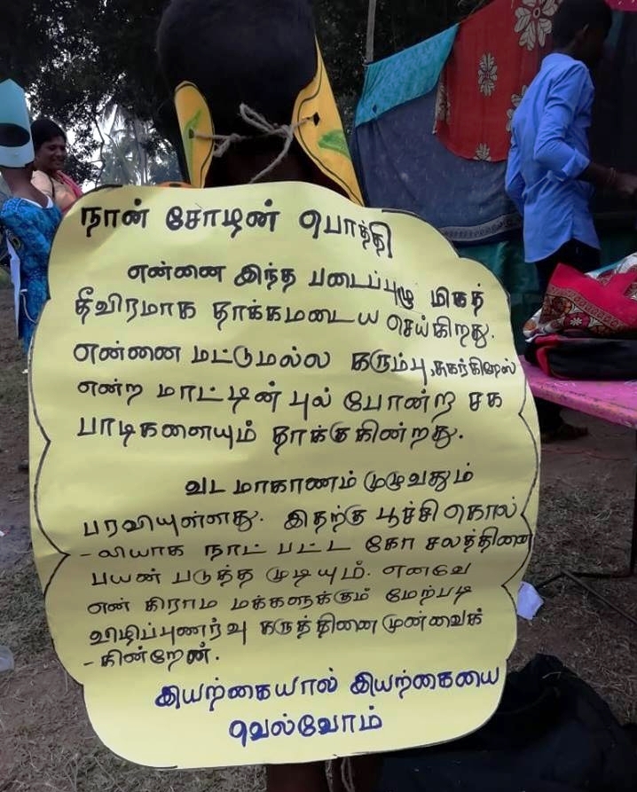 மிக சாதாரணமாக “படைப்புழு” தாக்கத்திற்கு நிவாரணம் கூறிய பாடசாலை மாணவன்..