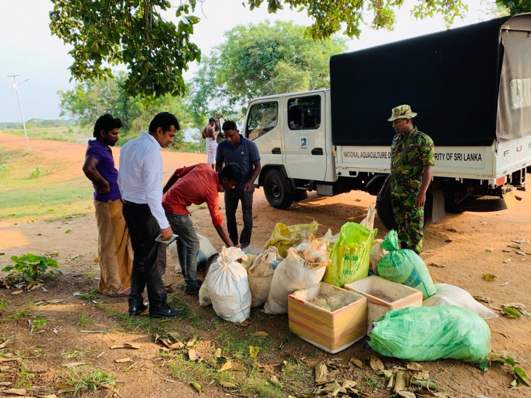 சுற்றிவளைத்த விசேட அதிரடிப்படை, 15 லட்சம் பெறுமதியான சட்டவிரோத வலைகளுடன் சிக்கிய மீனவா்கள்..