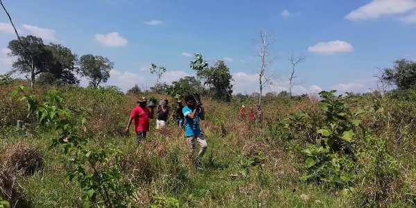 புலிகளின் தாக்குதலில் மரணித்த இராணுவ அதிகாரியின் நினைவாக ஒட்டுசுட்டான் காட்டில் மரநடுகை!