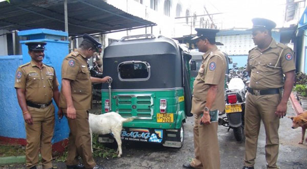 மேய்ந்து கொண்டிருந்த ஆட்டை ஆட்டையைபோட்டவா்களுக்கு நடந்த கதி..