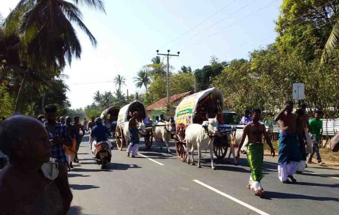 பாரம்பரிய முறைப்படி மீசாலையிலிருந்து புளியம்பொக்கணை நாகதம்பிரான் ஆலயத்துக்கு பண்டங்கள்!!