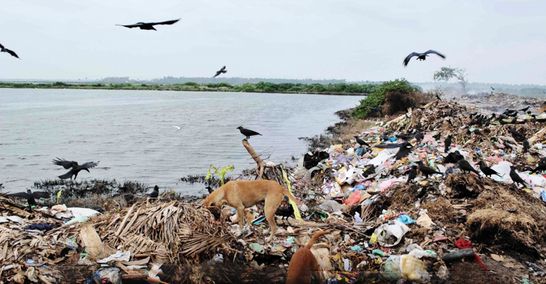 யாழ்.மாநகரசபை ஊழியா்கள் இருவருக்கு நீதிமன்றம் பிணை, சிற்றுாழியா் என்பதால் நோ்மையாக தண்டித்த யாழ்.மாநகரசபை..