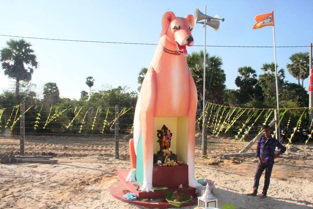 கிளிநொச்சி பளை பகுதியில் சிவபூமி அமைப்பினரால் நாய்கள் காப்பகம் திறப்பு!