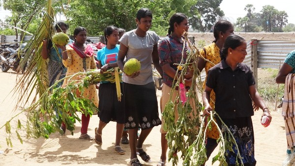 யானைகள் பிடுங்கியெறிந்த பயிர்களுடன் ஊர்வலமாக சென்ற கிளிநொச்சி மக்கள்!