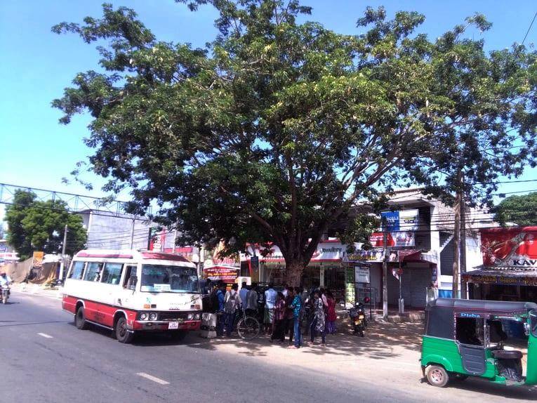 மரத்திற்கு அசிட் ஊற்றிய நகைக்கடைககாரா் கைது..! கடுமையான தண்டணை வழங்க மக்கள் கோாிக்கை..