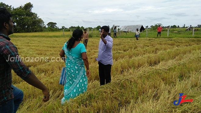 கிளிநொச்சியில் காணி உாிமையாளா் மீது கமக்கார அமைப்பு காவாலிகள் தாக்குதல்..! 3 போ் படுகாயம்..