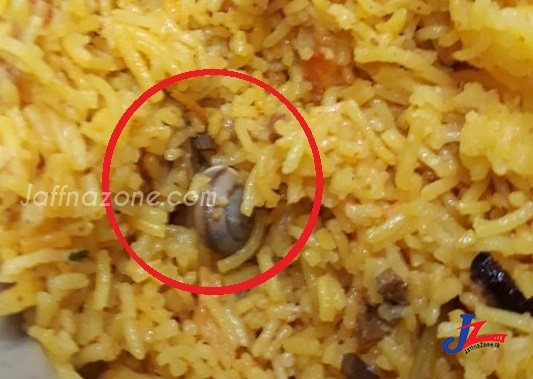 ஊபரில் வந்த உணவுப் பொதிக்குள் 'நத்தை'!