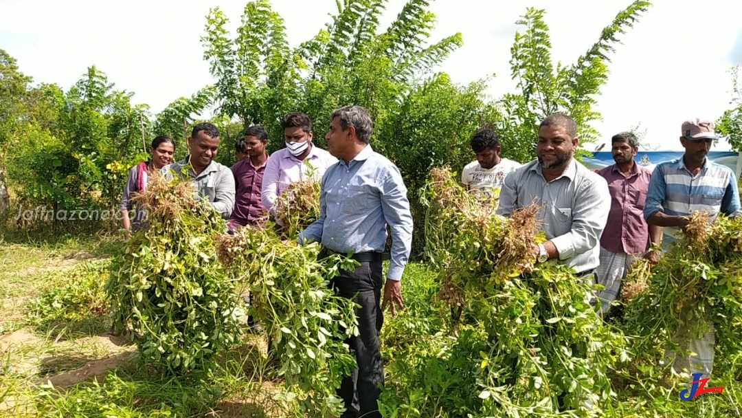 கொரோணாவை கட்டுப்படுத்துவோம் உணவு உற்பத்தியை பெருக்குவோம் அறுவடை நிகழ்வு