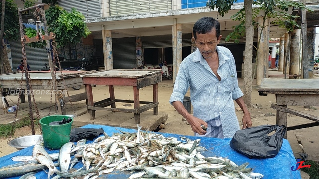 அம்பாறையில் கடல் மீன்களின் விலை அதிகரிப்பு