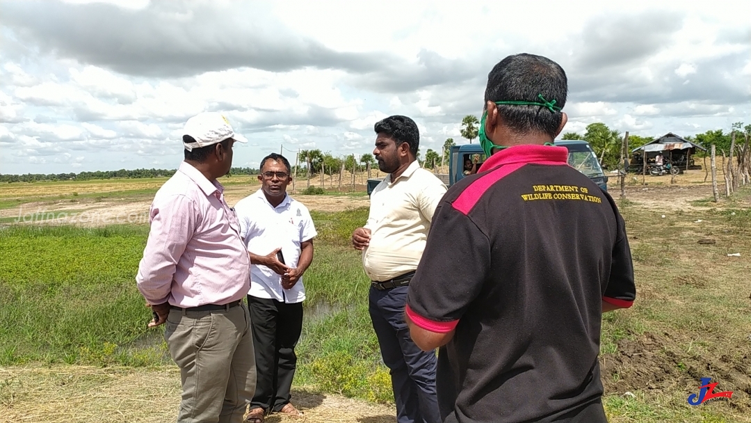 ஊருக்குள் திடிரென நுழைந்த யானை ஒன்றினை விரட்டியடிக்கும் நடவடிக்கை