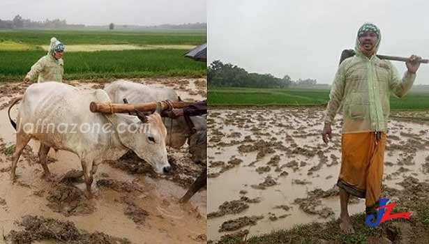 வயலில் இறங்கி உழவில் ஈடுப்ட எம்.எல்.ஏ!! -குவியும் பாராட்டுக்கள்-