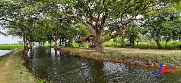 யாழ்.சாவகச்சோி - இல்வாரை நீர் வாய்க்காலை பார்வையிட பொதுமக்களுக்கு அனுமதி மறுப்பு..! மீறினால் கட்டாய தனிமைப்படுத்தல்..