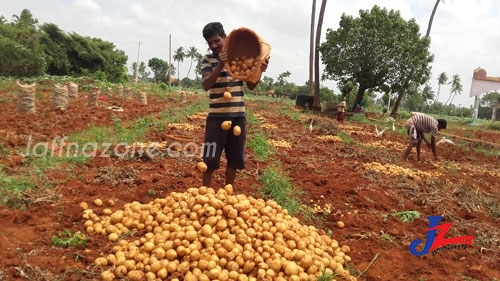 நாடு முழுவதும் உள்ள விவசாயிகளுக்கு மகிழ்ச்சியான செய்தி..! விற்பனை செய்ய முடியாமலுள்ள மரக்கறி, பழங்களை அரசு கொள்வனவு செய்யும்..