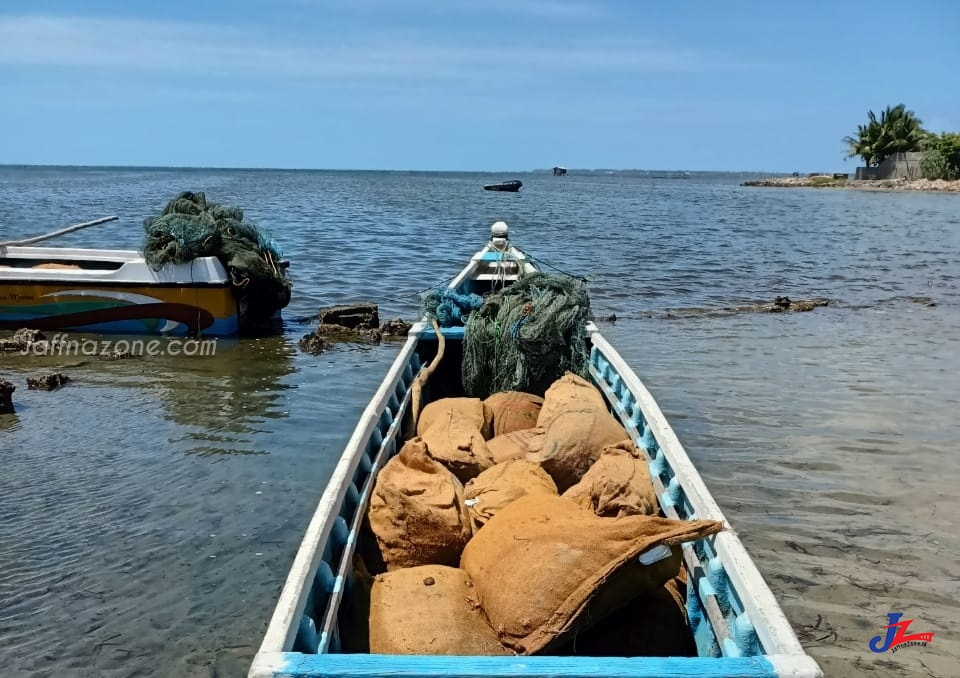 யாழ்.பாசையூர் கடலில் பொலிஸார் முற்றுகை! சுமார் 1300 கிலோ மஞ்சளுடன் ஒருவர் சிக்கினார்..