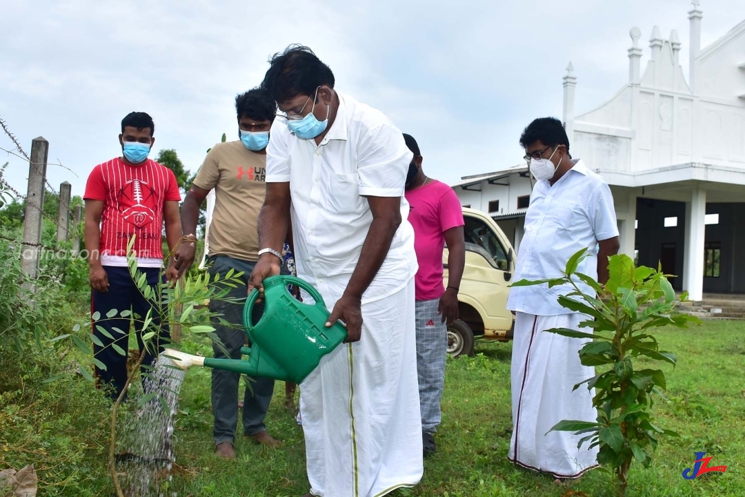 தமிழ்த்தேசியப் பசுமை இயக்கம் பளையில் மரநடுகை