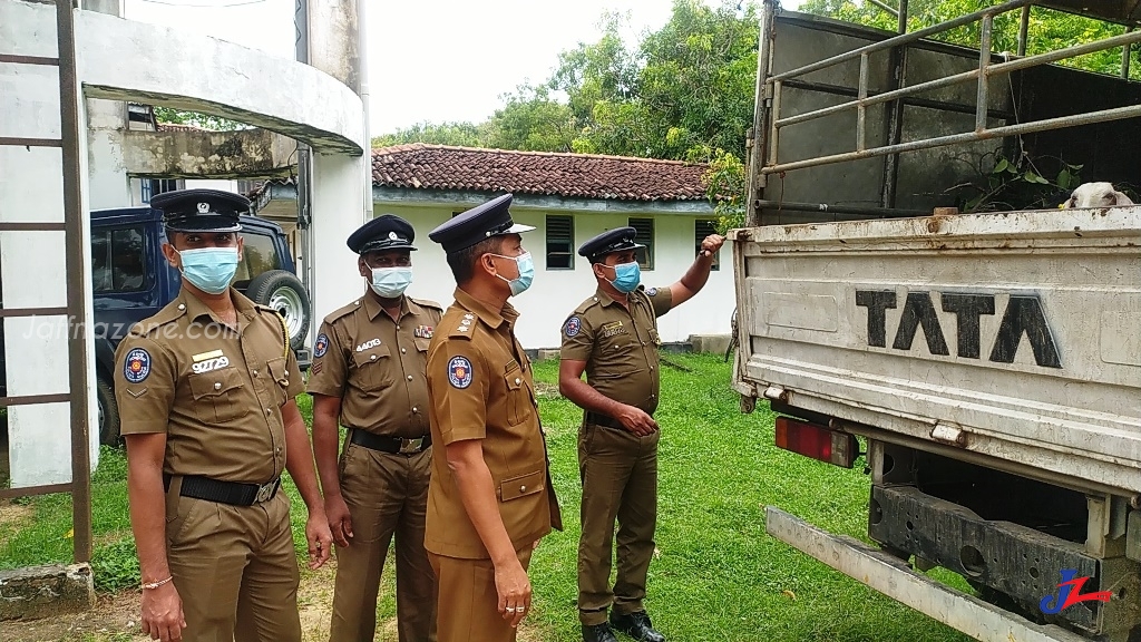 சட்டவிரோதமாக 30க்கும் அதிகமான ஆடுகளை கொண்டு சென்ற இருவர் கைது