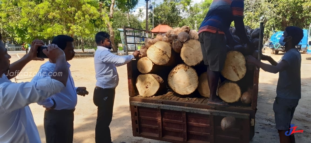 யாழ்.மாவட்டத்திற்கு கடத்திவரப்பட்ட முதிரை மர குற்றிகள்..! காத்திருந்து பிடித்த பொலிஸ் புலனாய்வு பிரிவு, மானிப்பாயை சேர்ந்தவர் கைது...