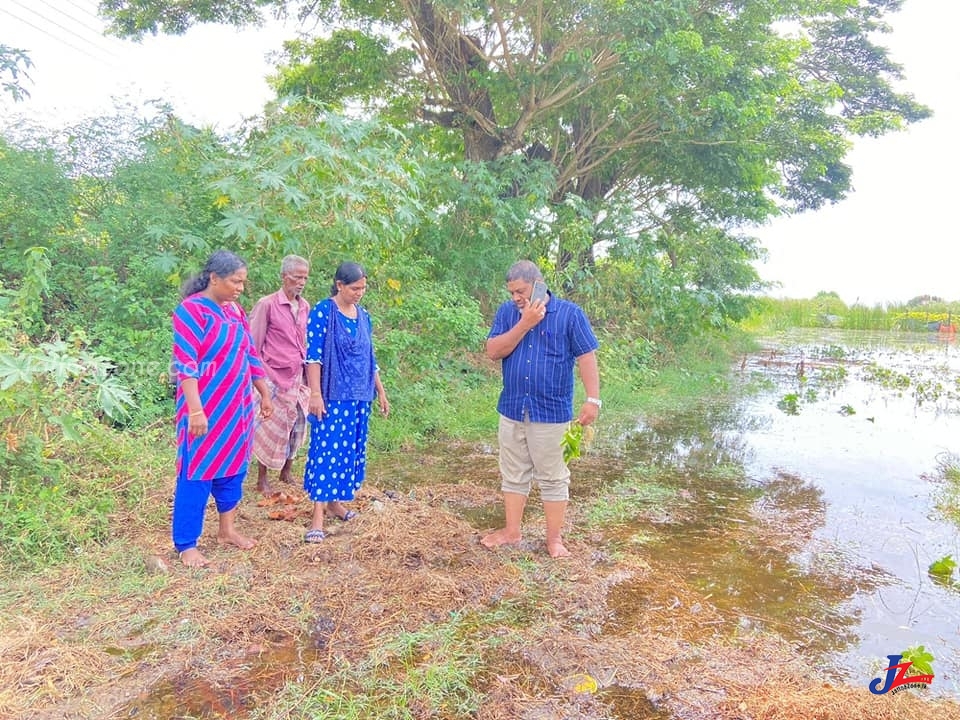 கடல் நீர் உட்புகுந்ததால் பயிரிடப்பட்ட உளுந்து,நிலக்கடலை பாதிப்பு