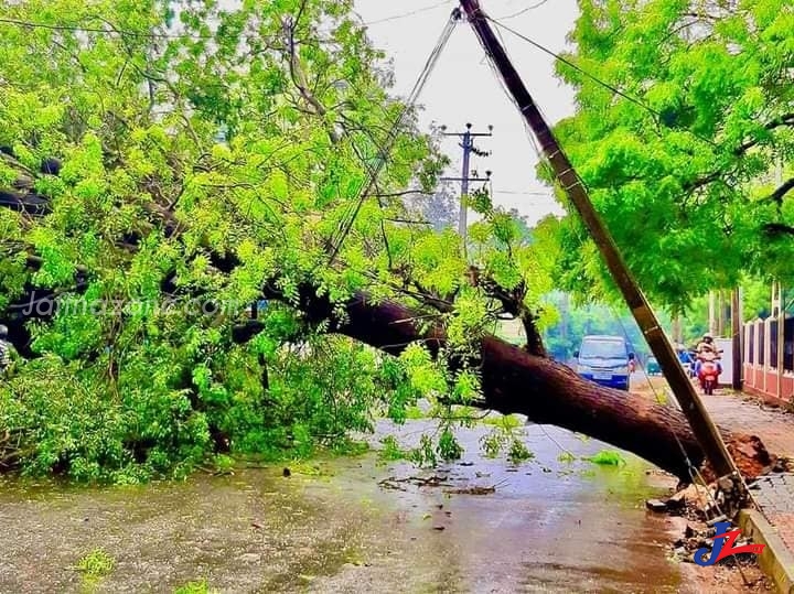 யாழ்ப்பாணத்தில் நேற்றிரவு பெய்த மழையால் சில பகுதிகளில் பாதிப்பு..