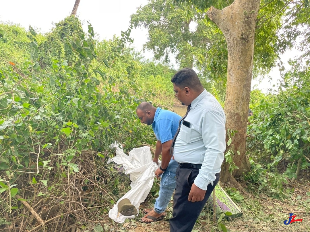 யானையின் தாக்குதலில் ஏக காலத்தில் கொல்லப்பட்ட இருவர் -அம்பாறை மாவட்டத்தில் சம்பவம்