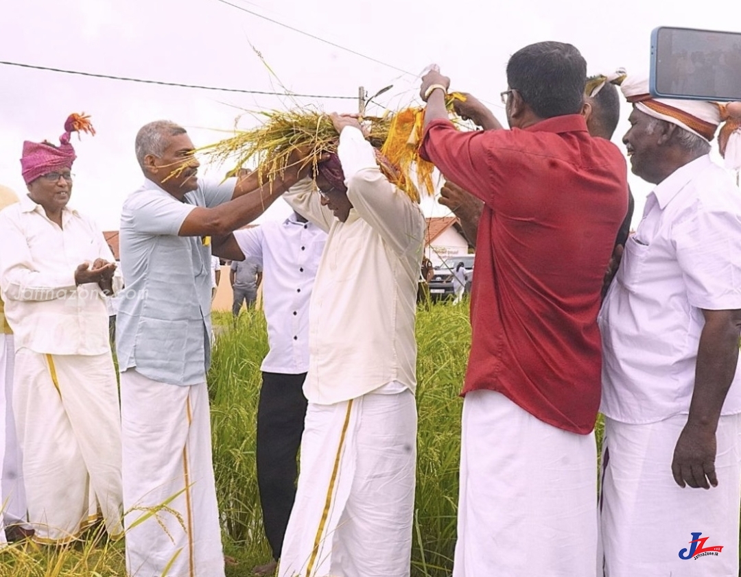 இடைத்தரகர்களிடமிருந்து விவசாயிகள் காப்பாற்றப்பட வேண்டும்.!