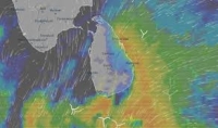 யாலில் நிலவும் அசாதாரண காலநிலை - 17 பேர் பாதிப்பு