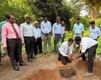 வெசாக்கை முன்னிட்டு , யாழ் . மாவட்ட செயலகத்தில் மர நடுகை
