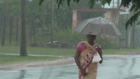 அம்பாறை மாவட்டத்தின் பல இடங்களில் பாரிய காற்று -போக்குவரத்து மேற்கொள்வதில் பிரதேச மக்கள் சிரமம்
