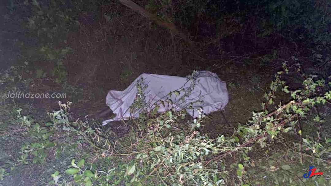 வவுனியாவில் காட்டு யானை தாக்கி ஒருவர் உயிரிழப்பு