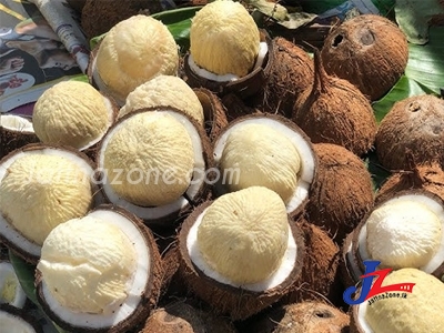 உடல் எடையை குறைக்க உதவும் தேங்காய் பூ!