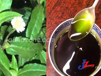 முடி உதிர்வை தடுக்கும் எண்ணெய்!