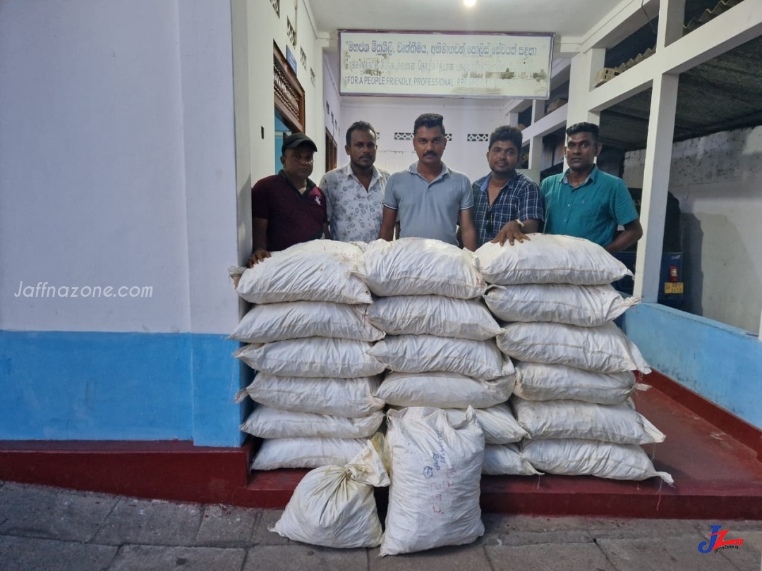 500 கிலோ மஞ்சளுடன் ஒருவர் கைது