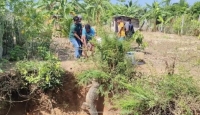 வவுனியாவில் வீட்டு வளாகத்தில் 09 அடி நீளமான முதலை மீட்பு!