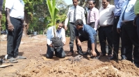 யாழ் பழைய பூங்காவளாகத்தில் பசுமை காடாக்கல் செய்யத் திட்டம்