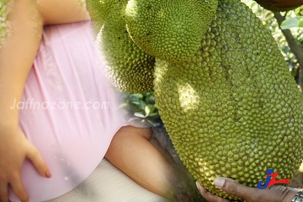 பலாப்பழம் விழுந்து கர்ப்பிணிப் பெண்ணின் வயிற்றில் சிசு உயிரிழப்பு – கேகாலையில் துயர சம்பவம்!